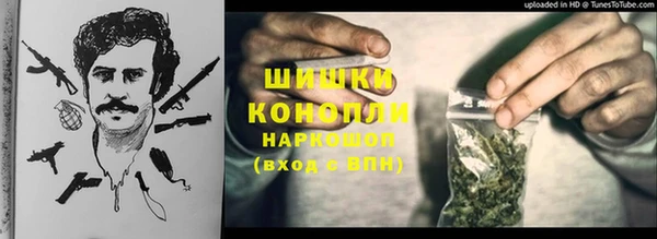 винт Алзамай