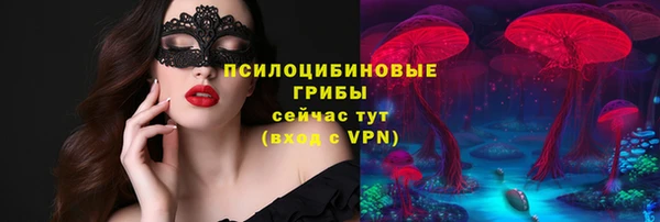 эйфоретик Алексин