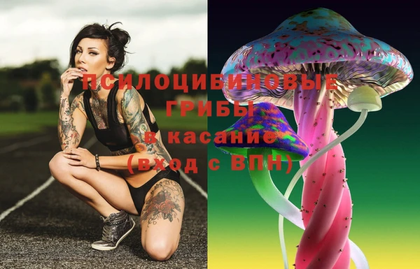 гидропоника Переславль-Залесский