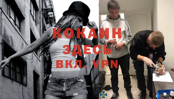 винт Алзамай