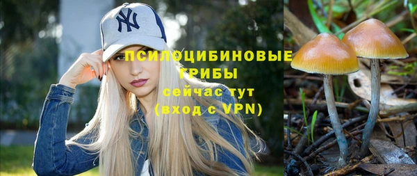 эйфоретик Алексин