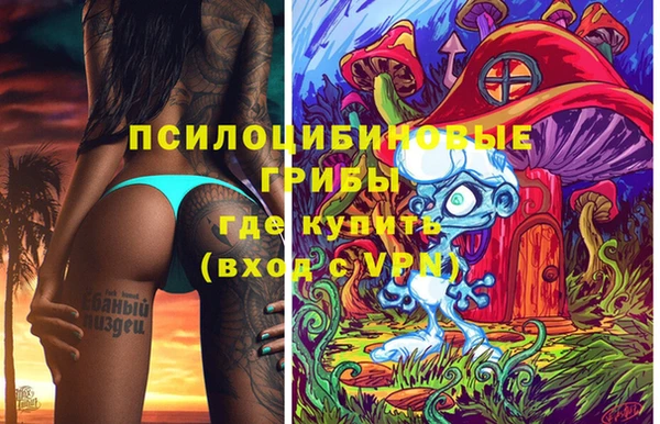 круглые Алексеевка