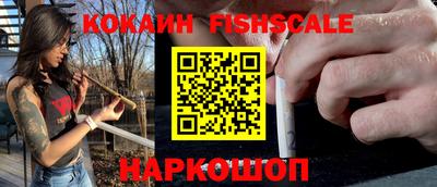гидра Будённовск