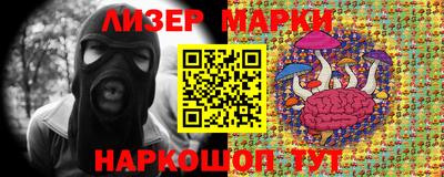 гидра Будённовск