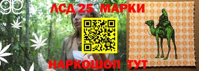 сатива Бугуруслан