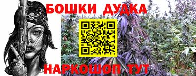 гидра Будённовск