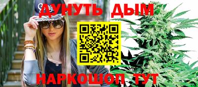гидра Будённовск