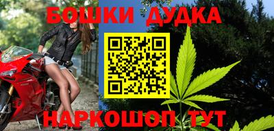 гидра Будённовск