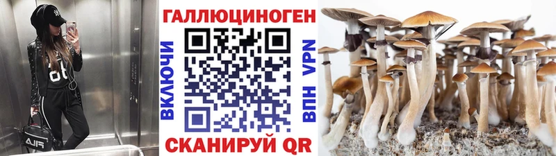 omg ССЫЛКА  Джанкой  Галлюциногенные грибы мицелий 